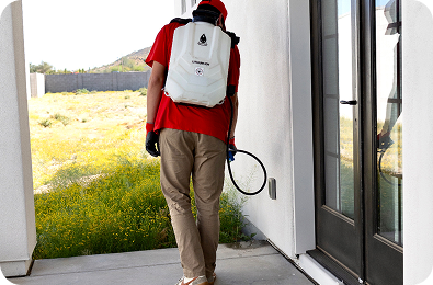 449190934_989808129815774_3367902423784797289_n - Arsenal Exterminating Pest Control Services