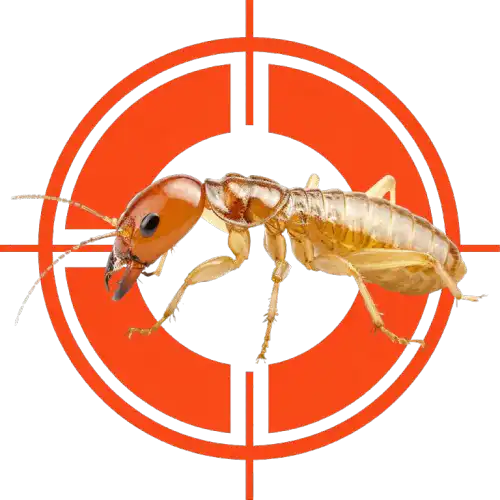 Ant inside a red crosshair target, symbolizing pest control or ant elimination services.
