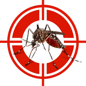 Spider centered in red crosshair target against a red and black background, conveying a hunting/aiming theme.