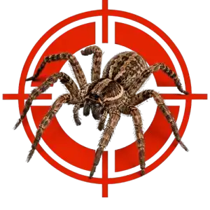 Brown tarantula centered in a red crosshair target against a black background.